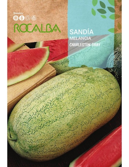 Acelga amarilla de Lyon 2