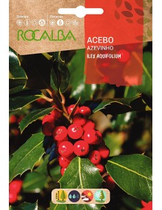 Semilla Acebo (Ilex)