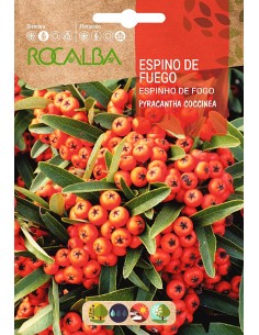 Semente Firethorn (pyracantha coccinea)