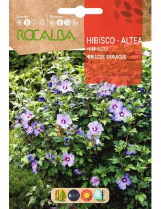 Llavor Hibiscus altea