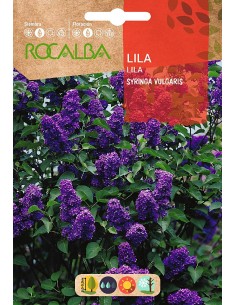Semilla Lilero (Syringa vulgaris)