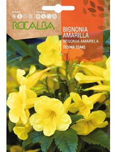 Semente de Bignonia Amarela (Tecoma Stans)