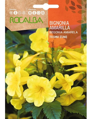 Semilla Bignonia amarilla (Tecoma Stans)