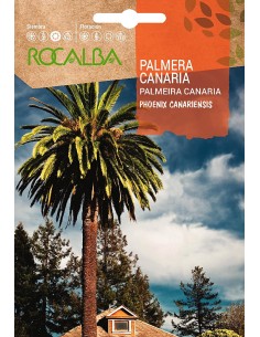Llavor aromàtica Camamilla