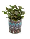 Vaso de cerâmica Egas (vaso 7 cm ø)