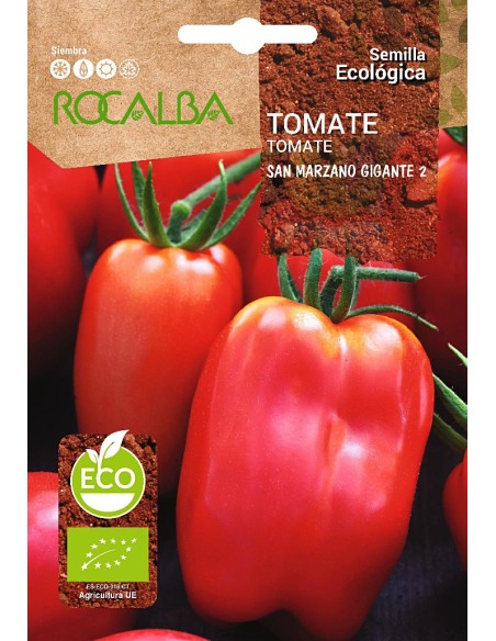 Llavor aromàtica Cilantre