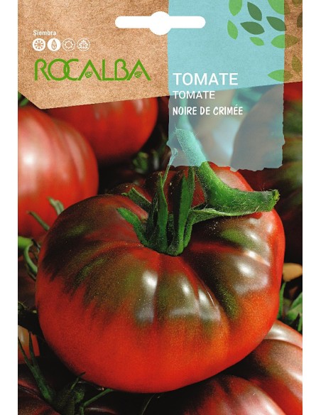 Semilla Tomate Negro de Crimea