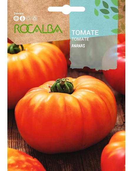 Llavor aromàtica Cilantre