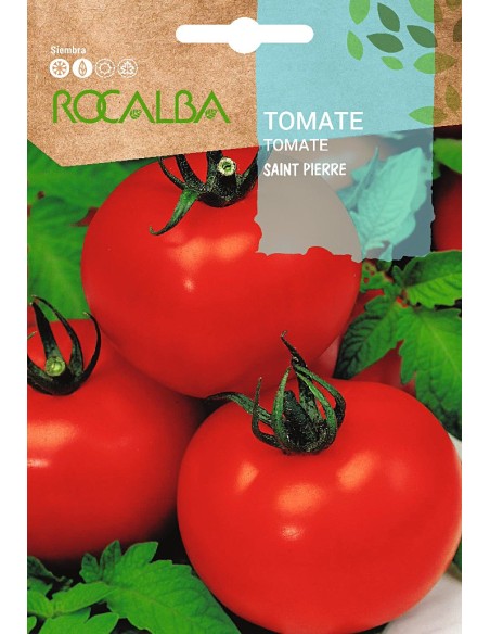 Llavor aromàtica Cilantre