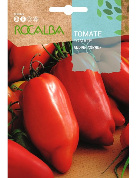 Semente de tomate Andine Cornue