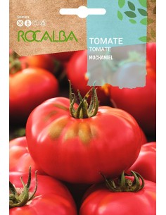 Semilla tomate Muchamiel 
