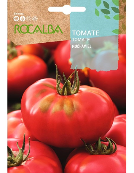Semilla tomate Muchamiel 