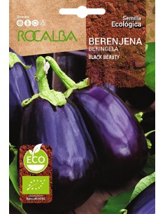 Llavor aromàtica Cilantre