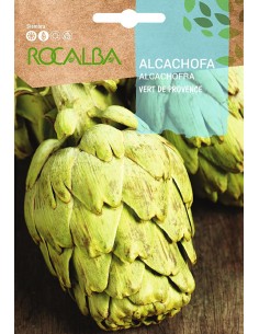 Acelga amarilla de Lyon 2