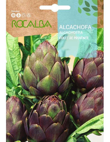 Llavor hortícola Carxofa Talpiot