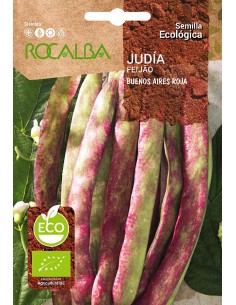Llavor aromàtica Cilantre
