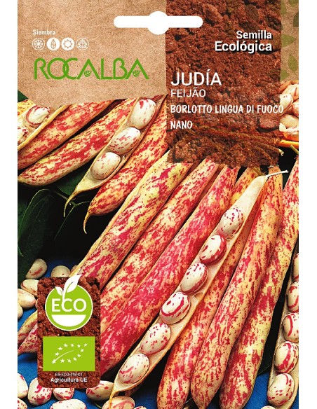 Semilla Judía Borlotto lengua de fuego enana (ecológica)