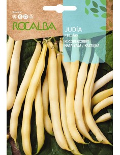 Rocquencourt Semente Judaica