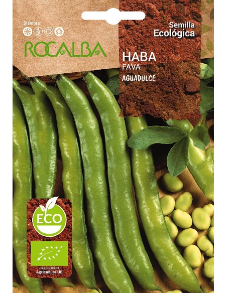 Llavor aromàtica Cilantre