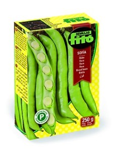 Semilla haba Sofia (tipo Muchamiel)