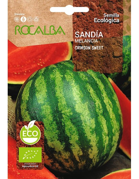 Llavor aromàtica Cilantre