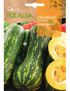 Semilla calabaza Mezcla de frutos pequeños