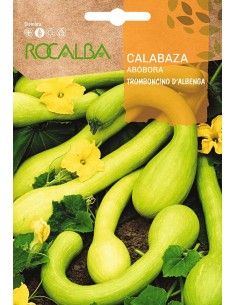 Semilla calabaza Mezcla de frutos pequeños