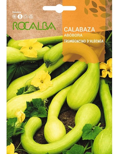 Tromboncino d'albenga semente de abóbora