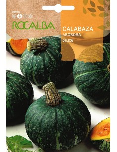Llavor carbassa Delica