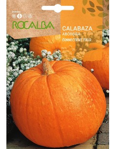 Semilla calabaza Connecticut Field