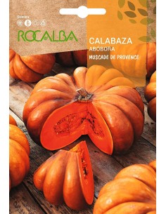 Semilla calabaza de probenza