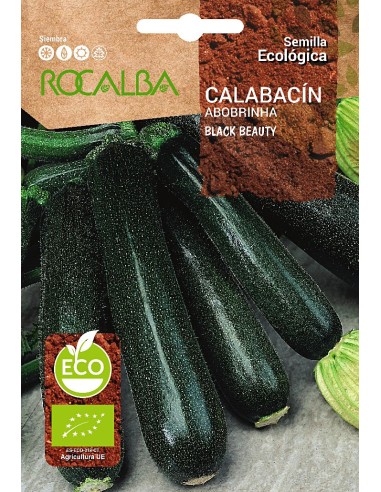 Semilla ecológica Calabacín black beauty