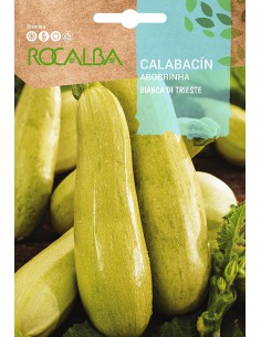 Semilla calabacin blanco Virginia