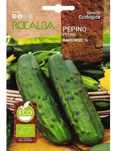 Llavor aromàtica Cilantre