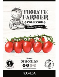 Semilla tomate Briscolino