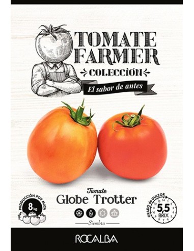 Llavor aromàtica Cilantre