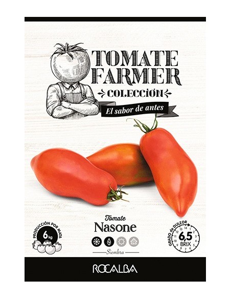 Semente de tomate Nasone