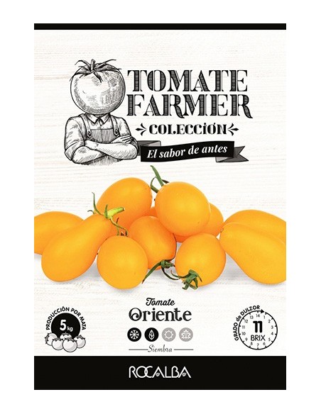 Semente de tomate Oriente