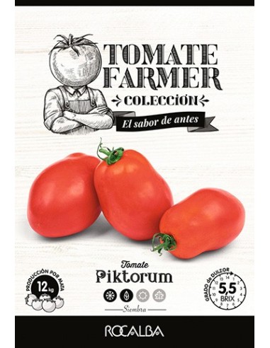 Semente de tomate Piktorum