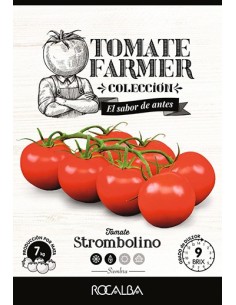 Semente de tomate Strombolino