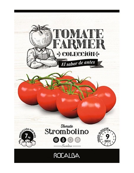 Semilla tomate Strombolino
