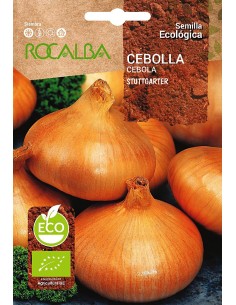 Llavor ecològica Ceba Suttgarter