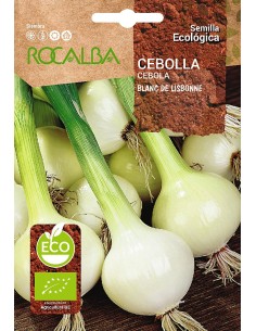 Semilla ecológica Cebolla blanca