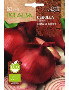 Semilla ecológica Cebolla morada
