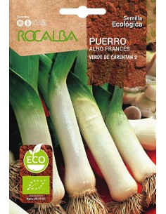 Llavor aromàtica Cilantre