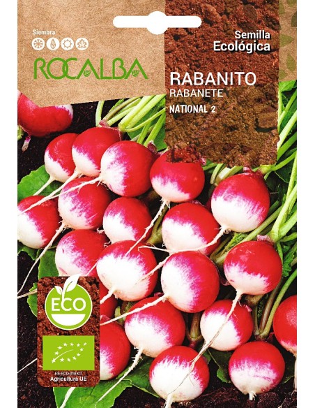 Llavor Rabanet National 2 (ecològica)