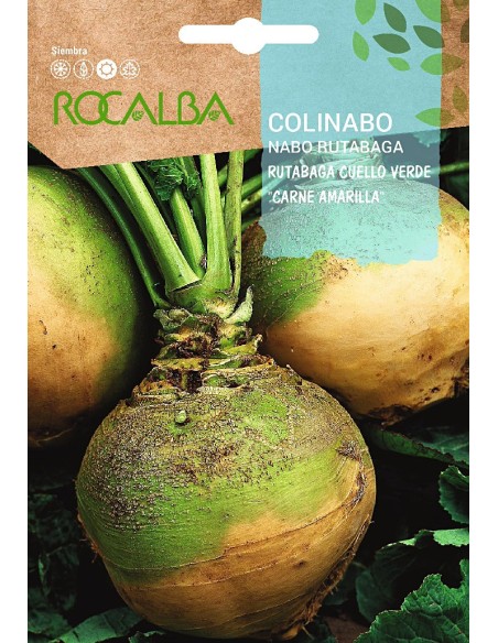 Semilla Colinabo Rutabaga