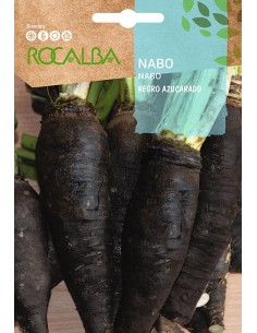 Semilla Nabo negro azucarado