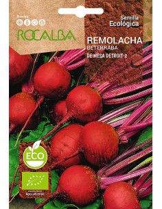 Llavor aromàtica Cilantre