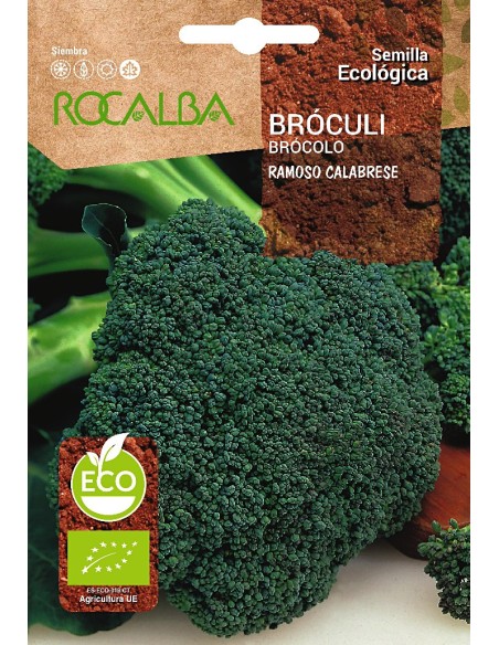 Llavor ecològica Bròquil verd Calabrese